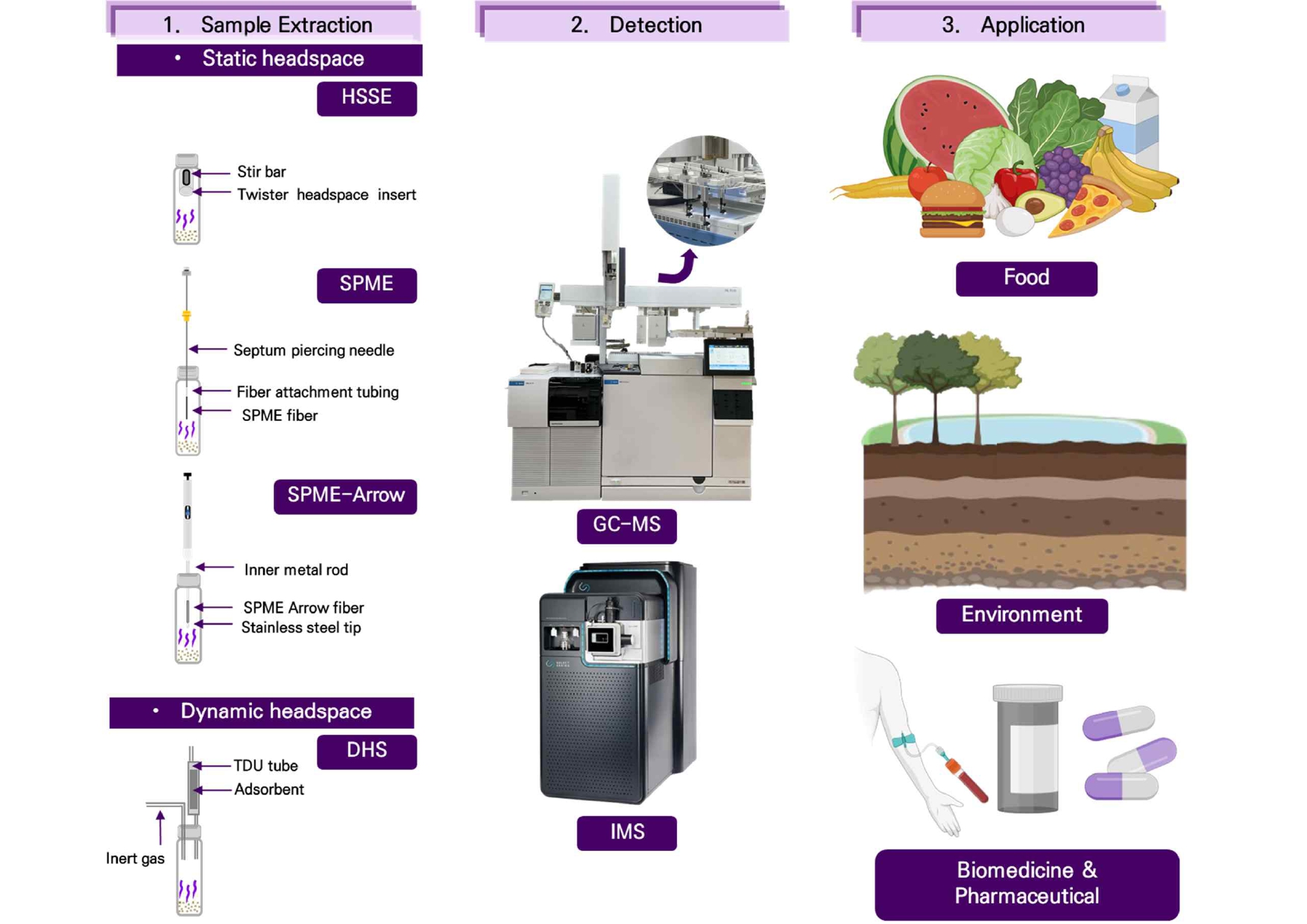 AST-2025-020_R1_P_Graphical Abstract_001.jpg